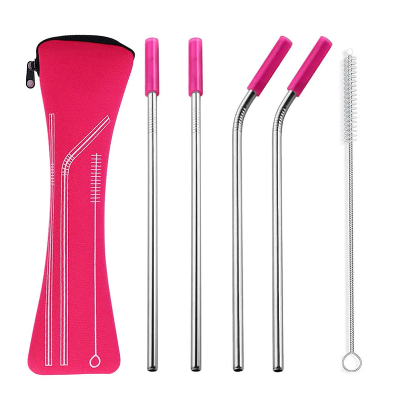 Axyaa Stainless Steel Reusable Straw Set with Cleaning Brush and Cover