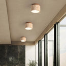 Axyaa Nordic Ceiling Light - Minimalist LED Lamps for Bedroom & Living Room