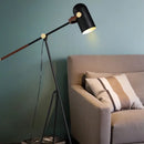 Axyaa Modern Nordic Floor Lamp for Living Rooms and Bedrooms
