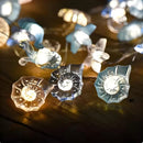Axyaa Marine Themed Seashell Starfish Fairy Lights