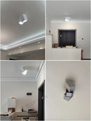 Axyaa LED Ceiling Lamp for Modern Indoor Lighting in Various Shapes
