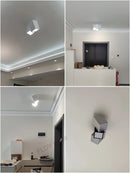 Axyaa LED Ceiling Lamp Modern Indoor Lighting for Home, Staircase, Kitchen, Dining Room