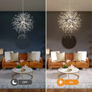 Axyaa Modern Dandelion LED Chandelier for Home Decoration