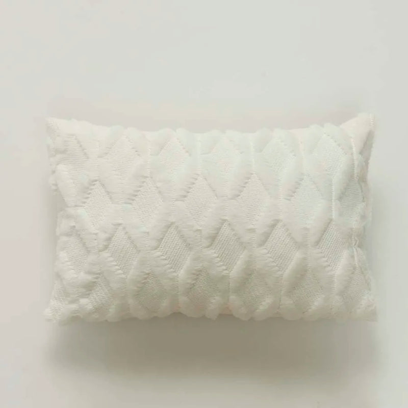 Axyaa Plush Cushion Cover in Nordic Style for Sofa, 30x50cm Decorative Pillow Cover