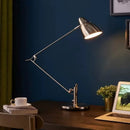 Axyaa Long Arm Desk Lamp with E27 Bulb