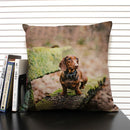 Axyaa Dog & Cat Pattern Linen Cushion Cover for Living Room Decor