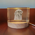 Axyaa Crystal Pet Memorial Keepsake - Personalized Sympathy Tribute Gift for Beloved Departed Pet