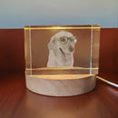 Axyaa Crystal Pet Memorial Keepsake - Personalized Sympathy Tribute Gift for Beloved Departed Pet