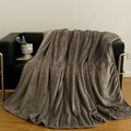 Axyaa Solid Color Jacquard Coral Fleece Blanket | Winter Thickened Small Blanket