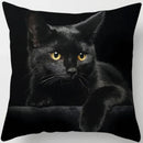 Axyaa  Black Cat Pillowcase  Decorative Square Cushion Cover 45*45cm