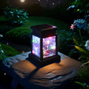 Axyaa Solar Lantern: Decorative Outdoor Candle Lamp with Auto On/Off - Waterproof Garden/Patio Decor
