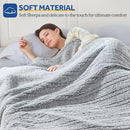 Axyaa Electric Sherpa Heated Blanket - Twin Size, 10 Heat Levels, Auto-Off Timer