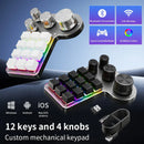 Axyaa Hotswap Gaming Mechanical Keyboard with Custom Macros and RGB Wireless Connectivity.