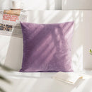 Velvet Cushion Cover for Sofa Living Room, 30x50cm Decorative Pillows by Axyaa