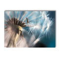 Dolphin Whale Starfish Sea Life Canvas Painting Set by Axyaa