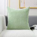Axyaa Soft Plush Velvet Cushion Cover in Various Colors 45x45