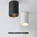 Axyaa LED COB Downlight Gold Reflector 7W 10W 12W Ceiling Spot Light Surface Mounted