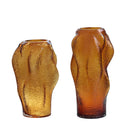 Axyaa Irregular Glass Vase Hydroponic Terrarium Flower Room Decoration