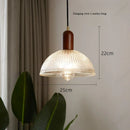 Axyaa LED Glass Lampshade Chandelier for Living Room, Bedroom, and Cafe Lighting