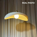 Axyaa Resin Pendant Lights: Modern Nordic Minimalism for Dining Room & Bar