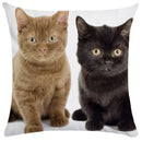 Axyaa Black Cat Bubble Pillow Cases - Premium Animal Cushion Cover for Home Decor