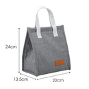 Axyaa Insulated Lunch Bag: Portable, Multifunctional, Solid Color for Picnics and School
