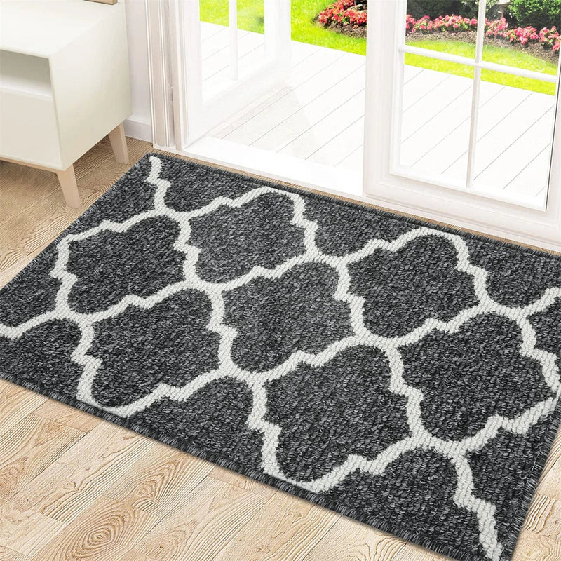 Axyaa Low-Pile Indoor Entrance Mat: Absorbent, Non-Slip & Washable Entry Rug
