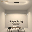 Axyaa Modern Line LED Pendant Light Black White Living Dining Bedroom Decor