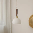 Axyaa Glass Walnut Chandelier: Nordic LED Pendant Light for Home Décor