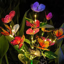 Axyaa Solar Flower Lights: Decorative Outdoor Garden Decor, Waterproof Pathway Lighting