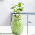 Axyaa Ceramic Persimmon Fruit Flower Pot for Home Decor