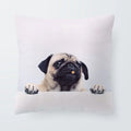 Axyaa Sanddog Shar Pei Polyester Pillow Case Cover 45*45cm