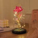Axyaa Eternal Rose Night Light - LED Beauty and the Beast Magic Flower Lamp