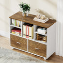 Axyaa Wood File Cabinet: 2 Drawers, Mobile, Lateral, Letter Size, Printer Stand