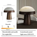 Axyaa Wood+Marble Table Lamps LED Book Lights for Indoor Decoration