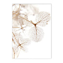 Axyaa Beige Dandelion Bunny Tail Grass Canvas Art Print Nordic Flower Poster