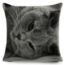 Cute Cat Print Fold Ear Pet Pillowcase for Cozy Home Decor by Axyaa