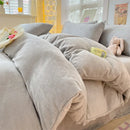 Axyaa Milk Velvet Winter Queen Duvet Cover Set, Soft & Cozy Coral Fleece Quilt