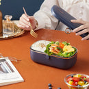 Axyaa Electric Lunch Box: Portable Stainless Steel Food Warmer Container 220V 110V