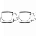 Axyaa Double Wall Glass Coffee Mug Tea Milk Juice Cup Thermo Insulated