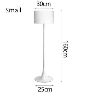 Axyaa Nordic Minimalist LED Floor Lamp for Living Room, Bedroom & Study