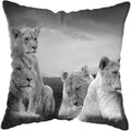 Wild Animals Lions Tigers Cushion Cover - Axyaa Luxury Home Decor