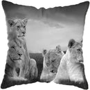 Wild Animals Lions Tigers Cushion Cover - Axyaa Luxury Home Decor