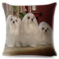 Maltese Dog Pillow Cover by Axyaa - Decorative Cushion Case for Home and Car