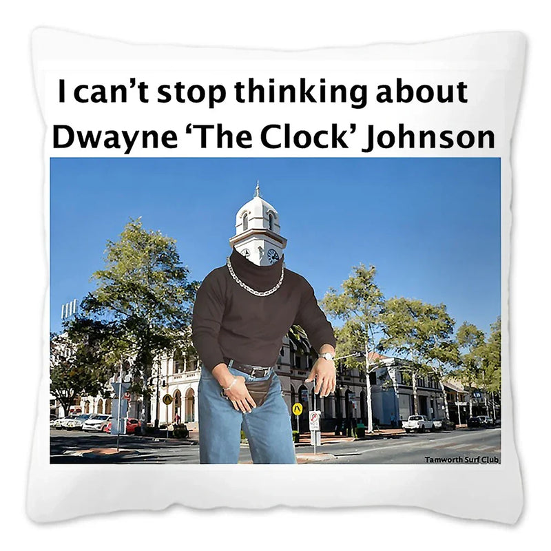 Axyaa Rock Face Cushion Cover: Funny Meme Throw Pillow for Home Decoration