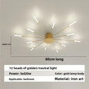 Axyaa Firework Decor LED Ceiling Lights for Living Room Bedroom Kitchen, Nordic Indoor Home Fixture