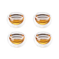 Axyaa Glass Teacup Tea Infuser Set - Heat Resistant Drinkware Mug