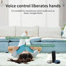 Axyaa Smart Roller Blinds Shutter Switch for Voice Control Alexa Google Home