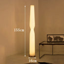 Axyaa Minimalist LED Floor Lamp, Remote Control Dimming, Nordic Ins Style