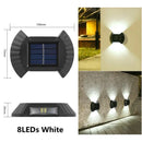 Axyaa Solar Shell Wall Light: Outdoor Garden Fence Courtyard Decor Waterproof LED Solar Lamp